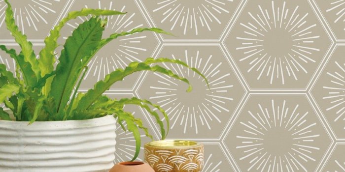 1200x1200 Hello Sunshine Coconut