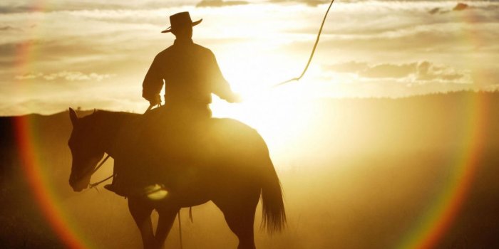1280x1280 Quarter Horse Ponderosa Ranch Seneca Oregon ❤ 4K HD Desktop
