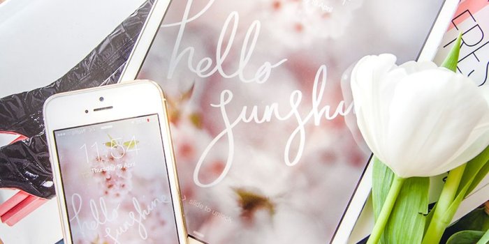 900x1350 Hello Sunshine! A Free Cherry Blossom Desktop Wallpaper