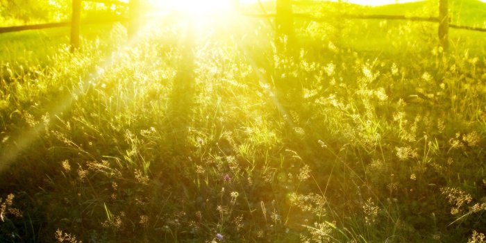 2560x1600 Summer Sunshine Wallpapers Inspirational Lemons iPhone Wallpaper