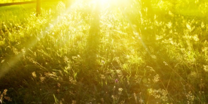 2048x1536 Summer Sunshine ❤ 4K HD Desktop Wallpaper for 4K Ultra HD TV • Dual