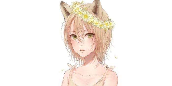 1920x1080 Unique Anime Girl Cat Ears Nad Roses Wallpaper Collection Anime o