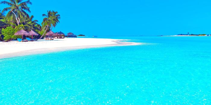 1920x1200 35+ Crystal Clear Ocean Wallpapers - Download at WallpaperBro