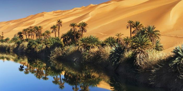 1920x1080 54+ Desert Oasis Wallpapers on WallpaperPlay