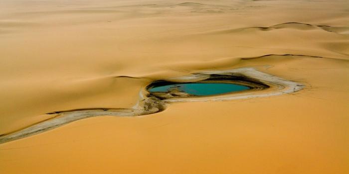 1920x1200 Wallpaper Africa, Niger, desert, oasis, water 1920x1200 HD Picture