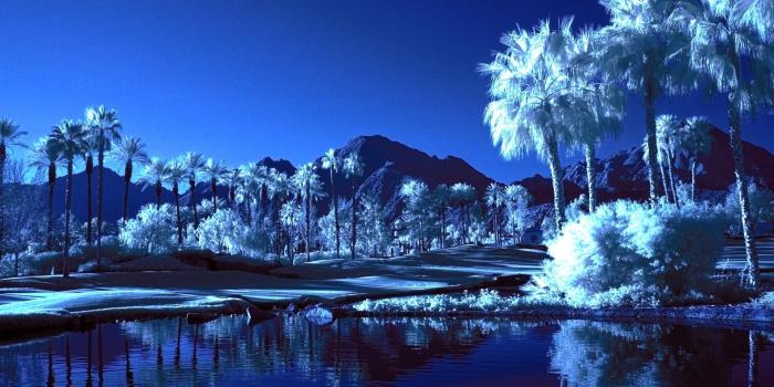 1920x1200 HD wallpaper: oasis | Wallpaper Flare