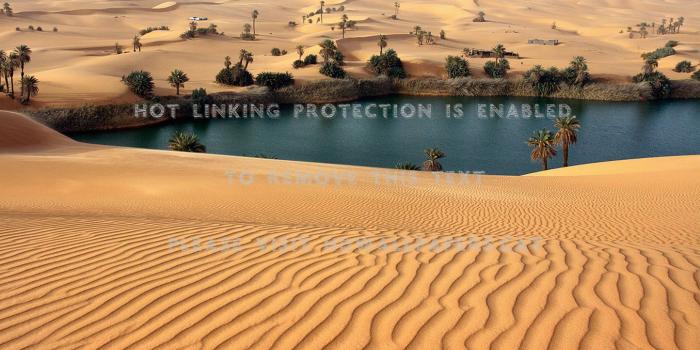 1444x958 oasis water desert amazing nature