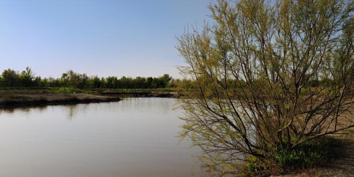1600x1200 Oasis of Ca' Mello - Water Museums of Venice