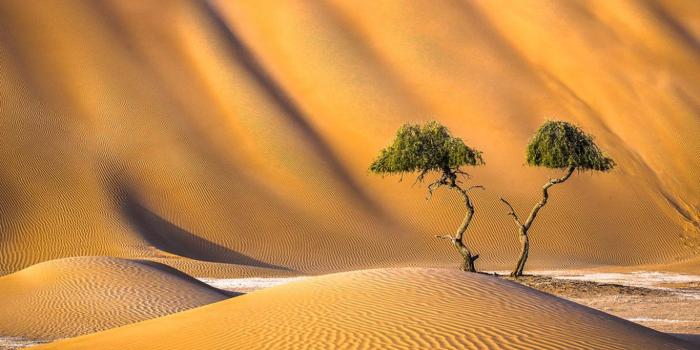 1366x768 Libyan Oasis Sand Desert Water Nevada Wallpaper ~ Desert HD 16:9