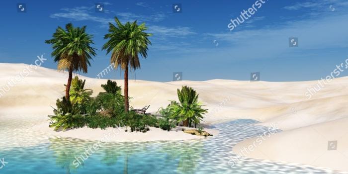 1500x1101 Desk wallpaper, Palm tree over water, CD:54