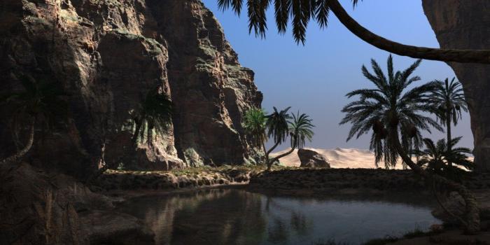 1332x850 Wallpaper the sky, water, stones, palm trees, rocks, the hidden