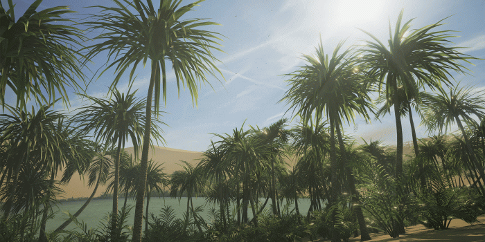 1920x1080 Oasis In The Desert Wallpapers High Quality | Download Free