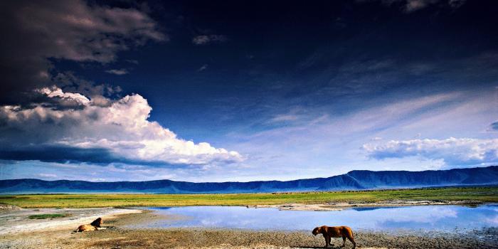 1920x1080 9 desert oasis wallpaper | wallpaper tags | Wallpaper Better