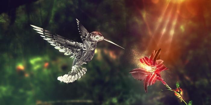 1920x1080 Humming Bird #Steampunk #3D #Wallpaper ~ #creative #digital #art