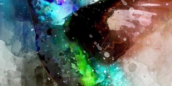 720x1280 Bird, hummingbird, digital art, 720x1280 wallpaper | Birds