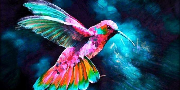 1020x783 The Hummingbird School is space and potential. Description from