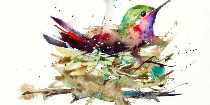 1280x1024 HUMMINGBIRD IN NEST