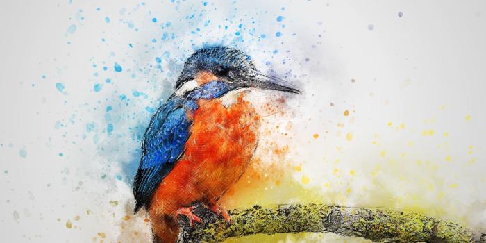 2500x2117 30+ Watercolor Hummingbird Wallpapers - Download at WallpaperBro