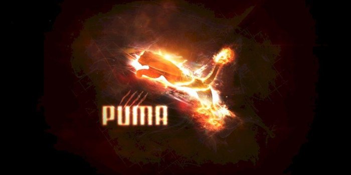 1024x1024 Puma Wallpapers