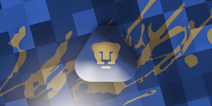 1920x1200 62+ Pumas Wallpapers on WallpaperPlay