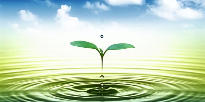 1920x1200 4K Water Wallpapers High Quality | Download Free