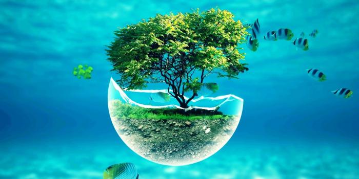 1920x1080 74+ Underwater Desktop Wallpapers on WallpaperPlay