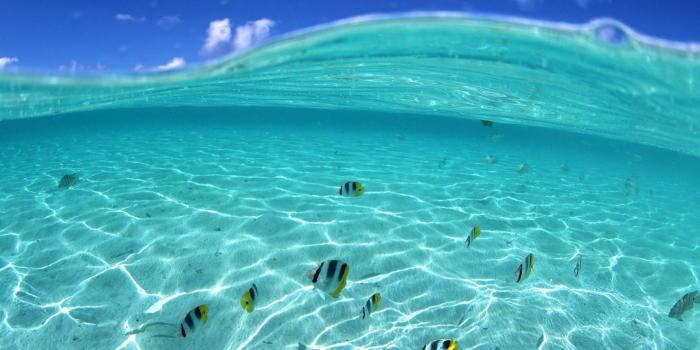 1920x1200 Free Wallpaper - Free Nature wallpaper - Clear Water And Blue Sky 2