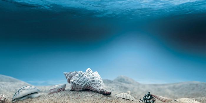 1920x1080 Ocean Hd Wallpapers (30+ images) on Genchi.info