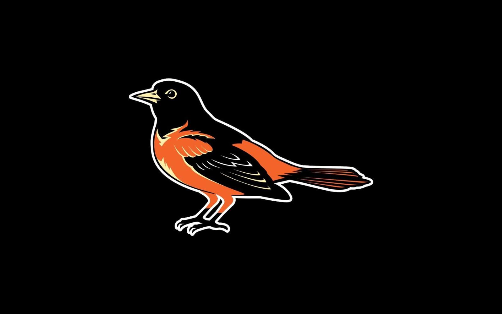 1920x1200 Ravens and Orioles Wallpaper (64+ images)