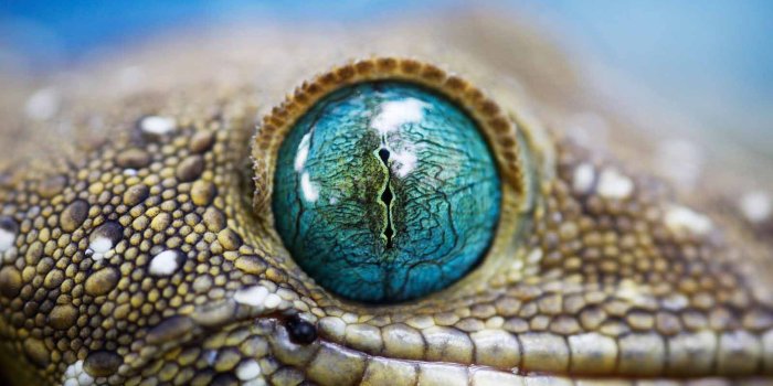 1600x1200 Download Most Popular Wallpaper (48+) - Free Wallpaper For your screen.