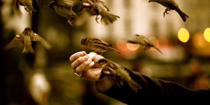 1920x1200 Most Popular Wallpaper ·① WallpaperTag