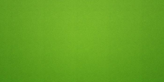 2560x1600 Index of /Wallpapers/The Muppets