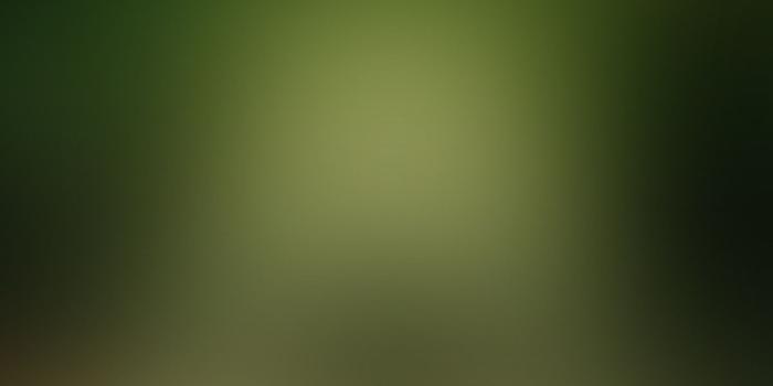 1200x900 Minimal Green Wallpaper - UltraLinx