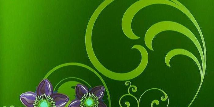 736x1512 ♡☆Fenedhis Lasa☆♡ on ~Hearts and Flowers~ | Green