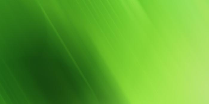 1920x1080 Big Green And Black Wallpaper 25 Background Wallpaper