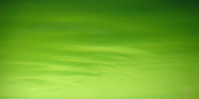 1024x768 43+] Blank Desktop Wallpaper on WallpaperSafari