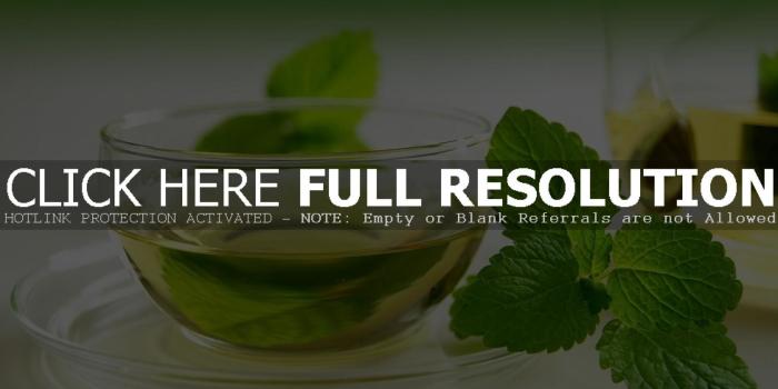 1920x1200 Green Tea Wallpaper (63+ pictures)