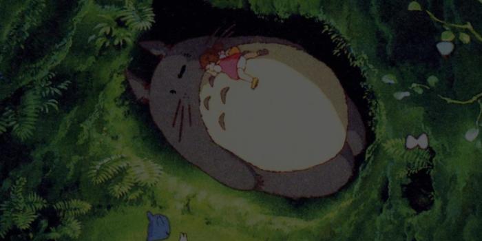 1200x2133 Japan Totoro Art Green Anime Illustration Android wallpaper