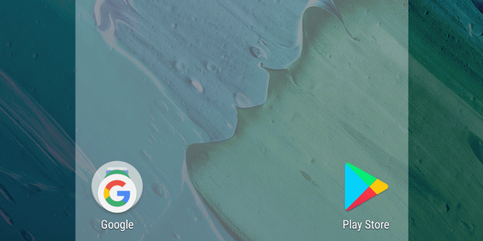 1440x2560 Customize the Home Screen - Moto E (4th Gen Plus)