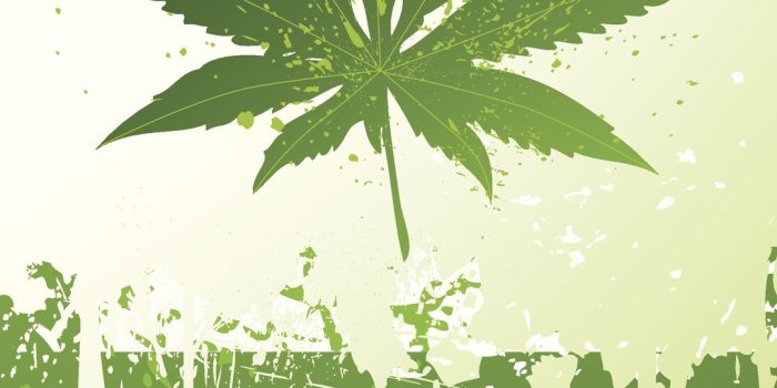 1080x1920 Weed HD Mobile Wallpapers