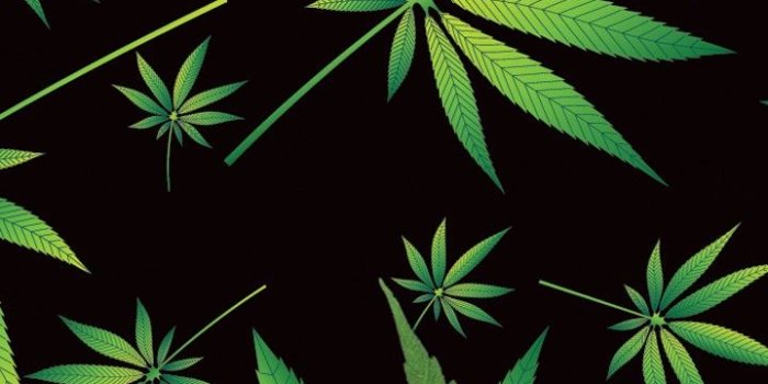 720x1280 Download Weed Phone Wallpaper