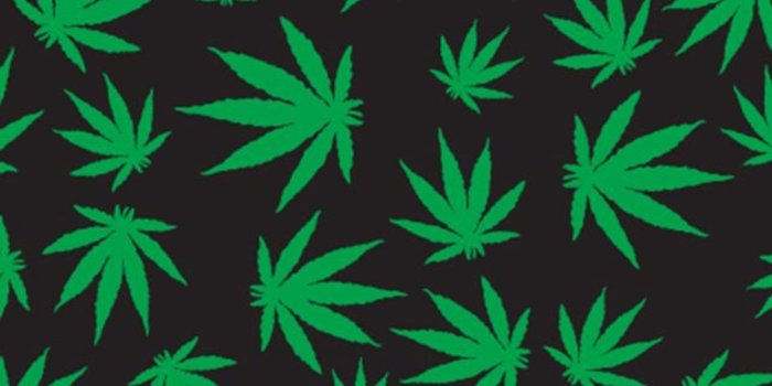 1920x3408 Get 467+ weed wallpaper HD Wallpaper [] pict.icu
