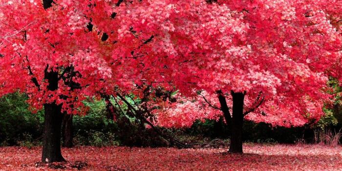 1900x1200 10 Most Popular Wallpapers For A Laptop FULL HD 1080p For PC