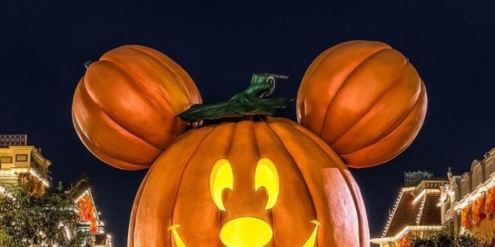 750x1334 Sherri Port on Pumpkins for Fall in 2019 | Halloween