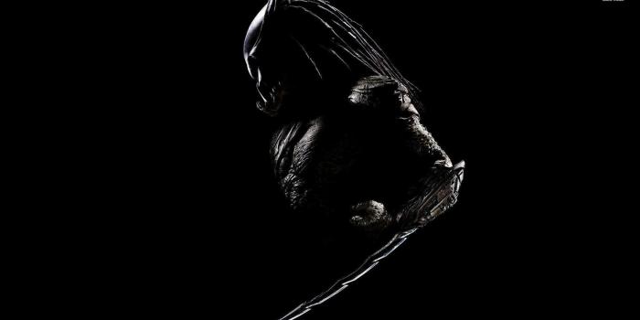 1920x1080 Predator wallpaper - Movie wallpapers - #29159