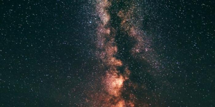 920x1349 Galaxy Phone Wallpaper | Safari Wallpapers