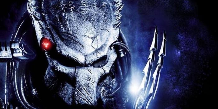 1024x768 Wolf Predator Wallpapers Wallpaper. Desktop Background