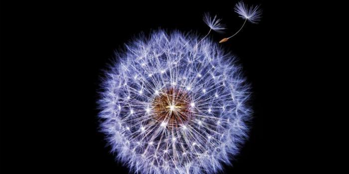 1024x1024 How to Download Galaxy S9 Wallpapers on Any Phone (HQ) - Saint