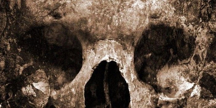750x1334 28 Skull iPhone Wallpaper To Darken Up Your Phone Screen | News Share