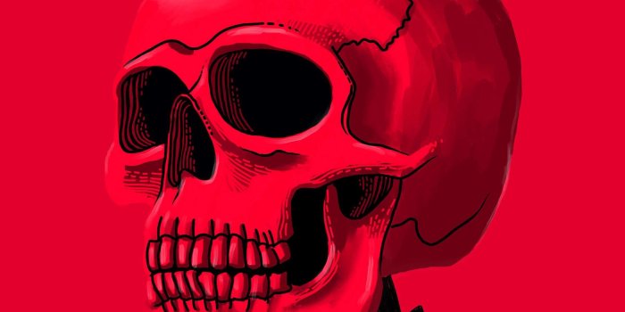 2220x3946 Red Skull HD iPhone Wallpaper | iPhone Wallpapers in 2019 | Skull